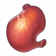Item8042.png