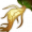 Item6416.png