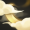 Skill615.png