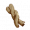 苦曼藤.png
