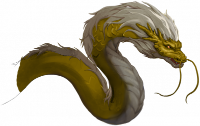 金龙.png