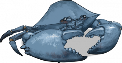 蓬莎巨蟹.png