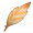 金鹏羽.png