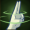 Skill123.png