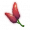 鸡冠草.png