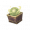 Item5514.png