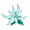 银月花.png