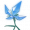 玄冰花.png