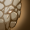 Skill18.png