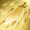 Skill7.png