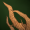Skill101.png