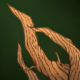 Skill101.png