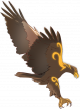 金鹏.png