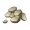 Item6111.png