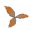 罗犀草.png