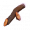 夜交藤.png