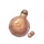 真阳丹.png