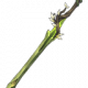 Item1114.png