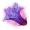 渊血冥花.png