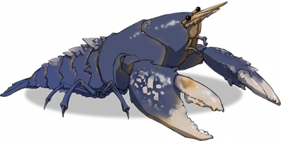 渊虾.png