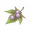 Item5418.png