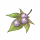 Item5418.png