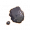 地黄参.png
