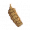 夏枯草.png