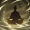 StaticSkill417.png