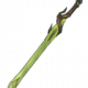 Item1113.png