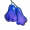 蛇涎果.png