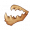 玉蟾牙.png
