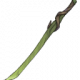 Item1112.png