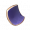 玉蟾皮.png