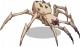 森蛛.png