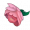 Item6206.png