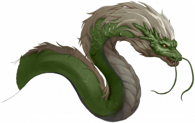 木龙.png