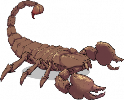 毒蝎.png