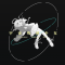 宇宙残骸少女.png