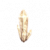 高级进化宝石.png