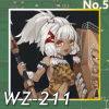 WZ-211正面照.png