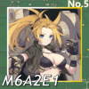 M6A2E1正面照.png