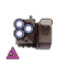 先战光电压制系统.png
