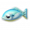 瞌睡鲈鱼.png