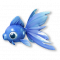海夜金鱼.png