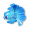 水裙鱼.png