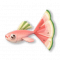 西瓜鱼.png
