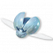 精灵金龟.png
