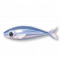 小银鳅.png