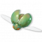 花苞金龟.png